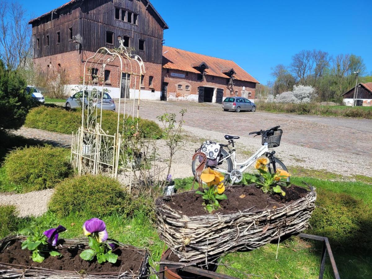 Agroturystyka "Palac W Janowie" Extérieur photo