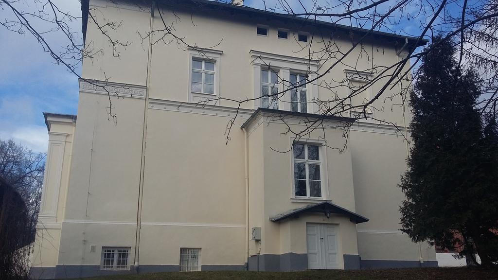 Agroturystyka "Palac W Janowie" Extérieur photo