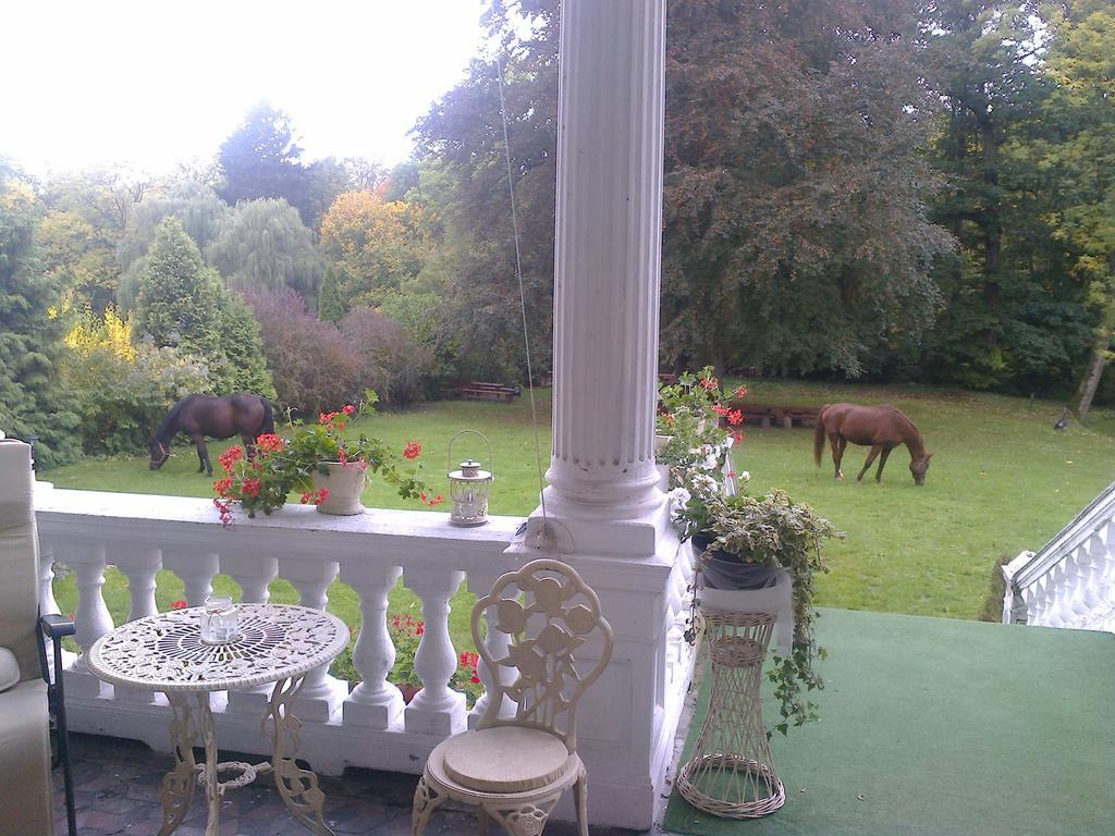 Agroturystyka "Palac W Janowie" Chambre photo